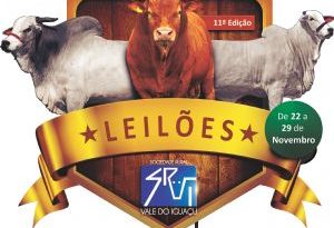 Capa galeria de fotos