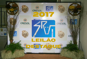 Leilão Destaque